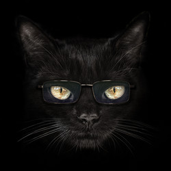 Similar image 21302480