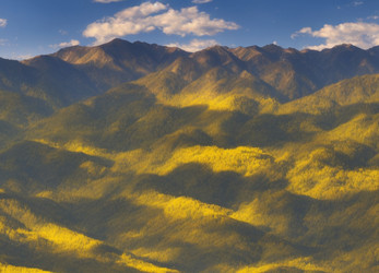 Similar image 21299731