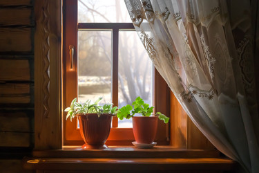 Similar image 21302303