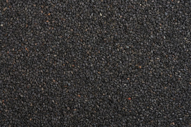 Similar image 21324020