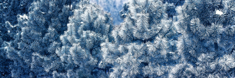 Similar image 21302449