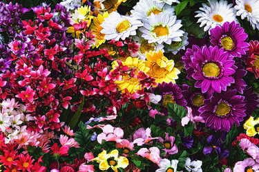 Similar image 21302453