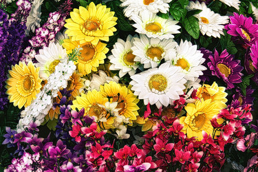 Similar image 21302455