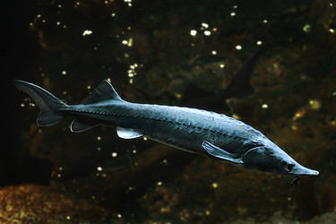 Similar image 21302460