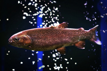 Similar image 21302464