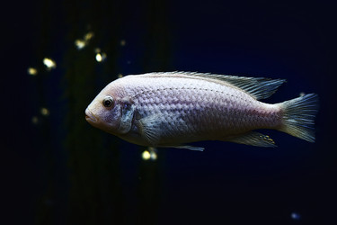 Similar image 21302485