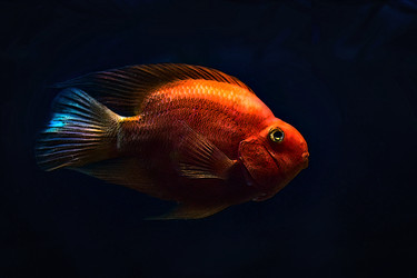 Similar image 21302487