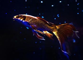 Similar image 21302488