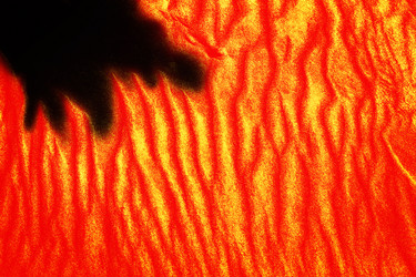 Similar image 21302490