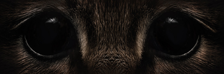 Similar image 21302491