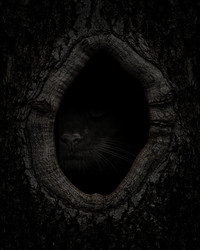 Similar image 21302494