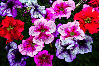 Similar image 21302497