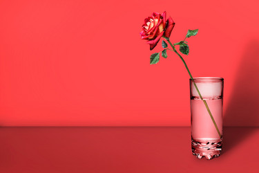 Similar image 21302501