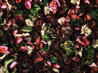 Similar image 21302509