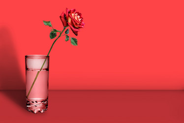 Similar image 21302510