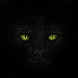 Similar image 21302515