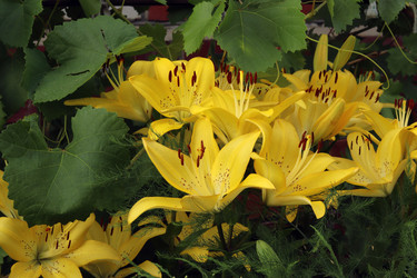 Similar image 21299736