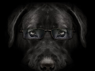 Similar image 21302522