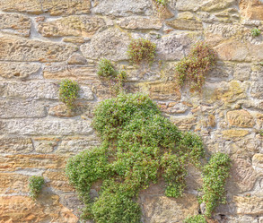 Similar image 21302267