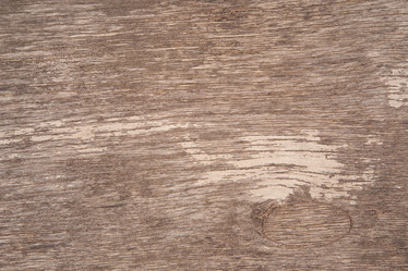 Similar image 21323883