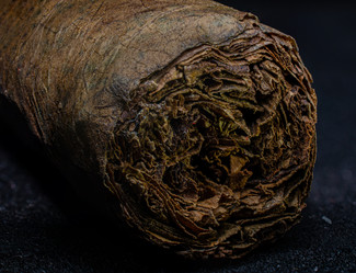 Similar image 21301982