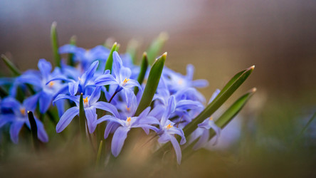 Similar image 21327476