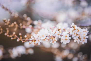 Similar image 21327477