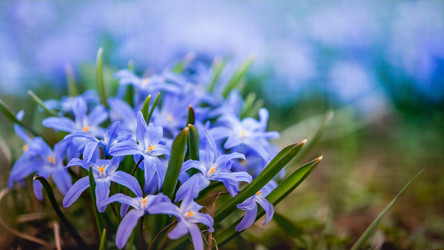 Similar image 21327478