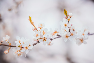 Similar image 21327479