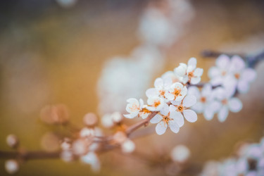 Similar image 21327480