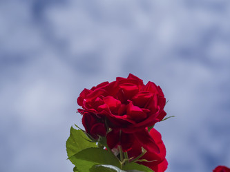 Similar image 21299894