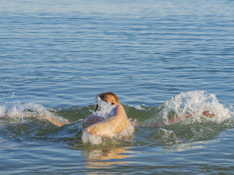 Similar image 21299897