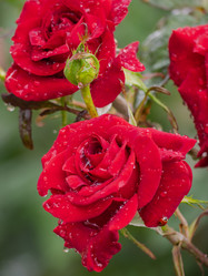 Similar image 21299900