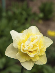 Similar image 21299901