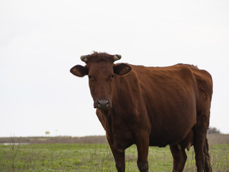 Similar image 21299903