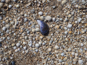 Similar image 21299914