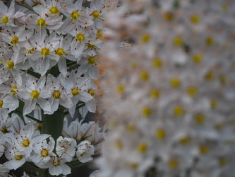 Similar image 21299916