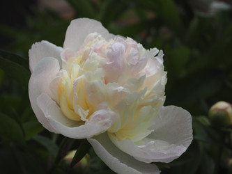 Similar image 21299918