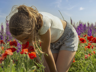 Similar image 21299919