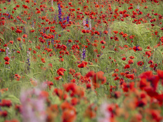 Similar image 21299920