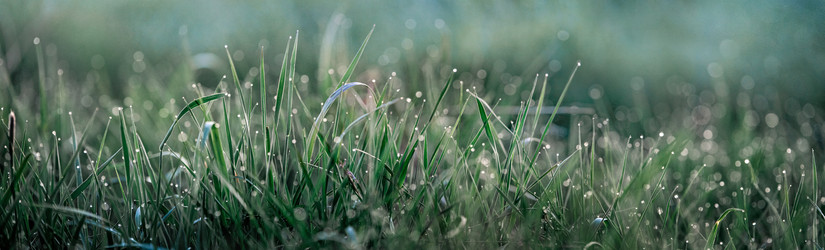 Similar image 21324207