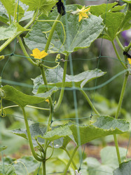 Similar image 21299921