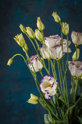 Similar image 21323467