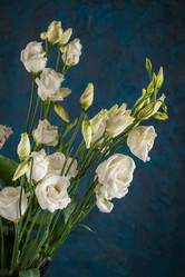 Similar image 21323469