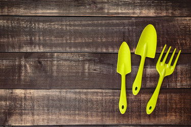 Similar image 21323484