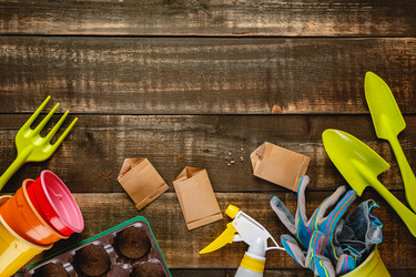 Similar image 21323489