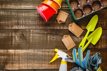 Similar image 21323491