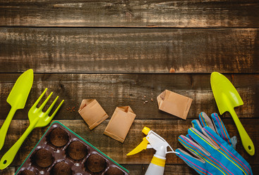 Similar image 21323495