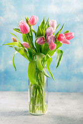 Similar image 21323504