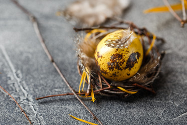 Similar image 21323409